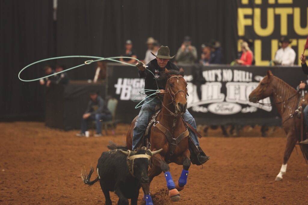 Header roper in a black cowboy hat swings his loop aboard a bay horse in blue splint boots while chasing a steer