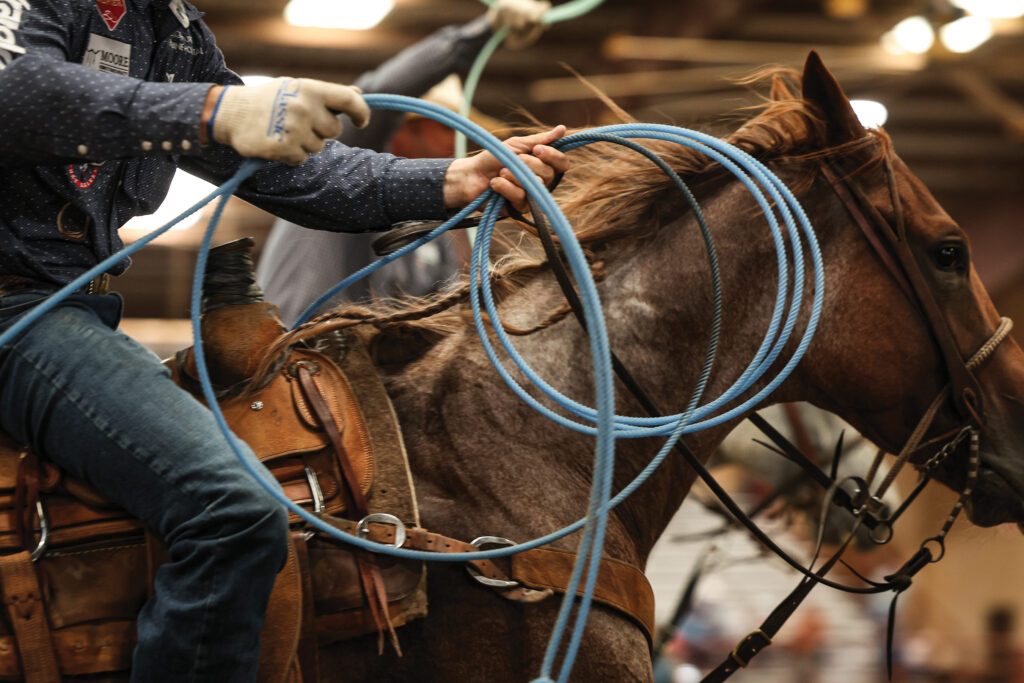 Roper in gloves coils a blue rope loop while mounted on a roan horse in an indoor arena