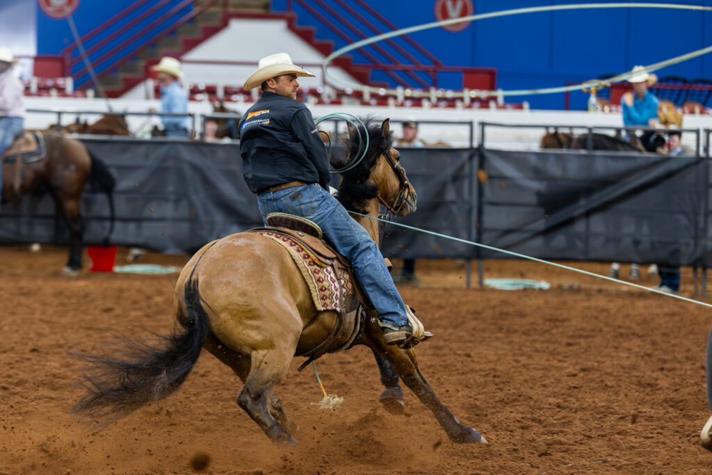 Header on a buckskin horse slides to a stop in the arena dirt as his rope stretches taut behind him