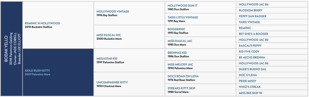 Five-generation pedigree chart for Bodak Yello, a 2016 Palomino gelding, listing sires and dams by name, year and color
