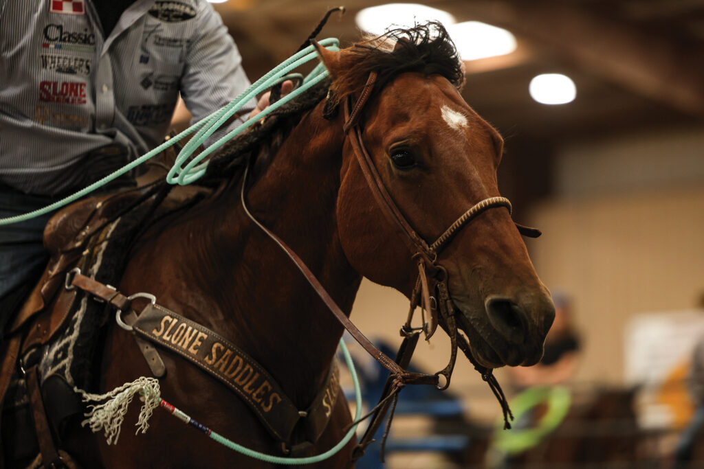 Close-up of a sorrel rope horse in a Slone Saddles breast collar as its rider holds a mint-green rope in an indoor arena