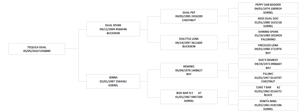 Three-generation pedigree chart for Tequila Dual, tracing sire Dual Spark and dam Jenna back to Peppy San Badger and Reminic