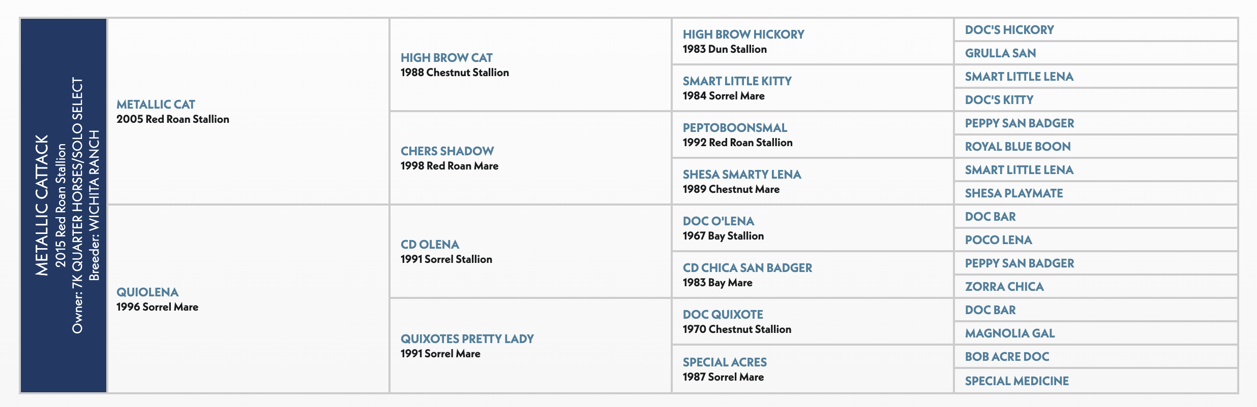 Five-generation pedigree chart for Metallic Cattack, a 2015 red roan stallion by Metallic Cat out of Quiolena