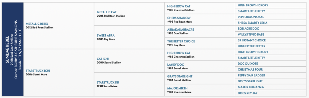 Five-generation pedigree chart for Sundae Rebel, a 2018 red roan stallion by Metallic Rebel out of Starstruck Ichi