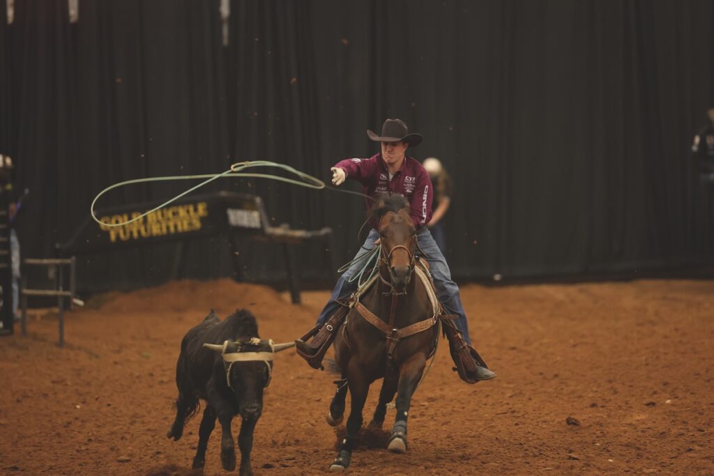 Header roper in a maroon shirt and black cowboy hat swings his loop aboard a bay horse as a black steer runs ahead in the arena
