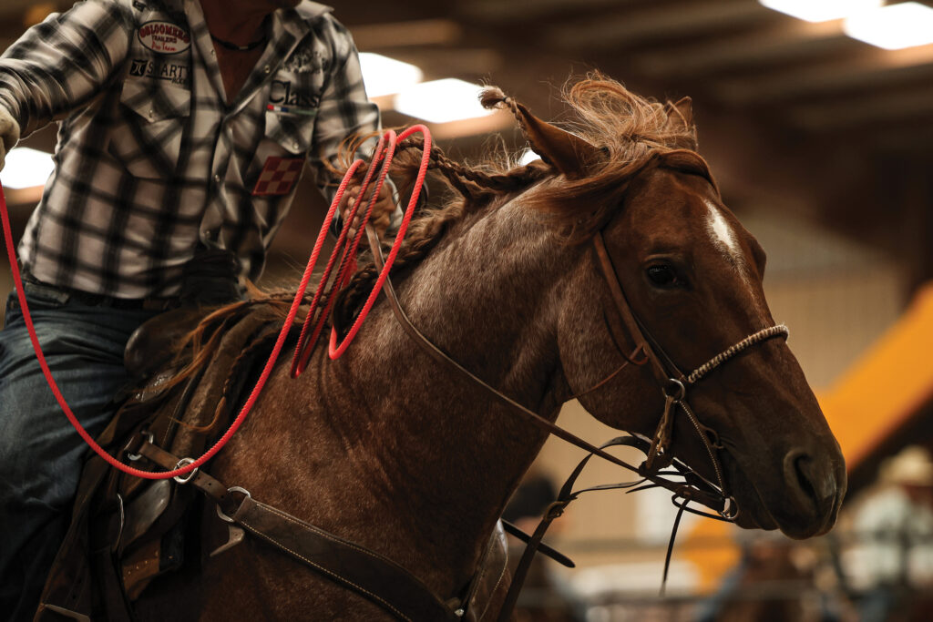 Cowboy in a plaid shirt holds a red rope while riding a red roan horse with a braided mane in an indoor arena