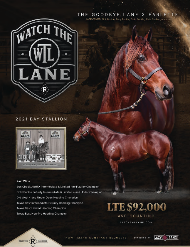 Stallion breeding ad for Watch The Lane, a 2021 bay stallion, showing head shot, conformation photo and list of roping wins