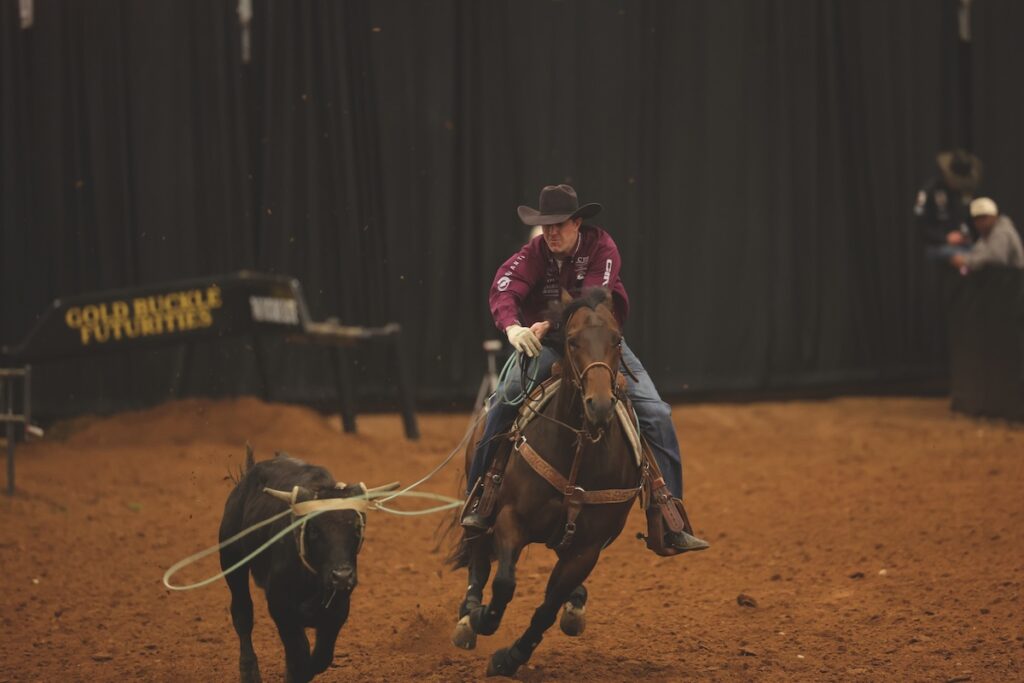 Header roper in maroon shirt gallops a bay horse alongside a roped steer at a Gold Buckle Futurities arena
