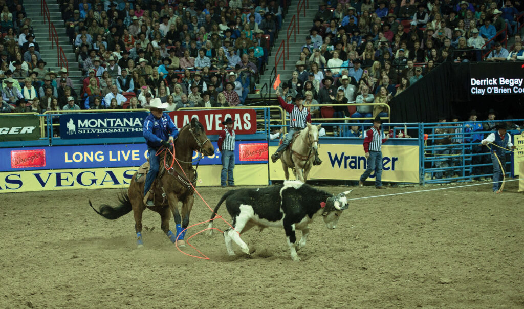 Team ropers work a steer in a packed arena, the header holding the head rope as the heeler's loop swings low behind