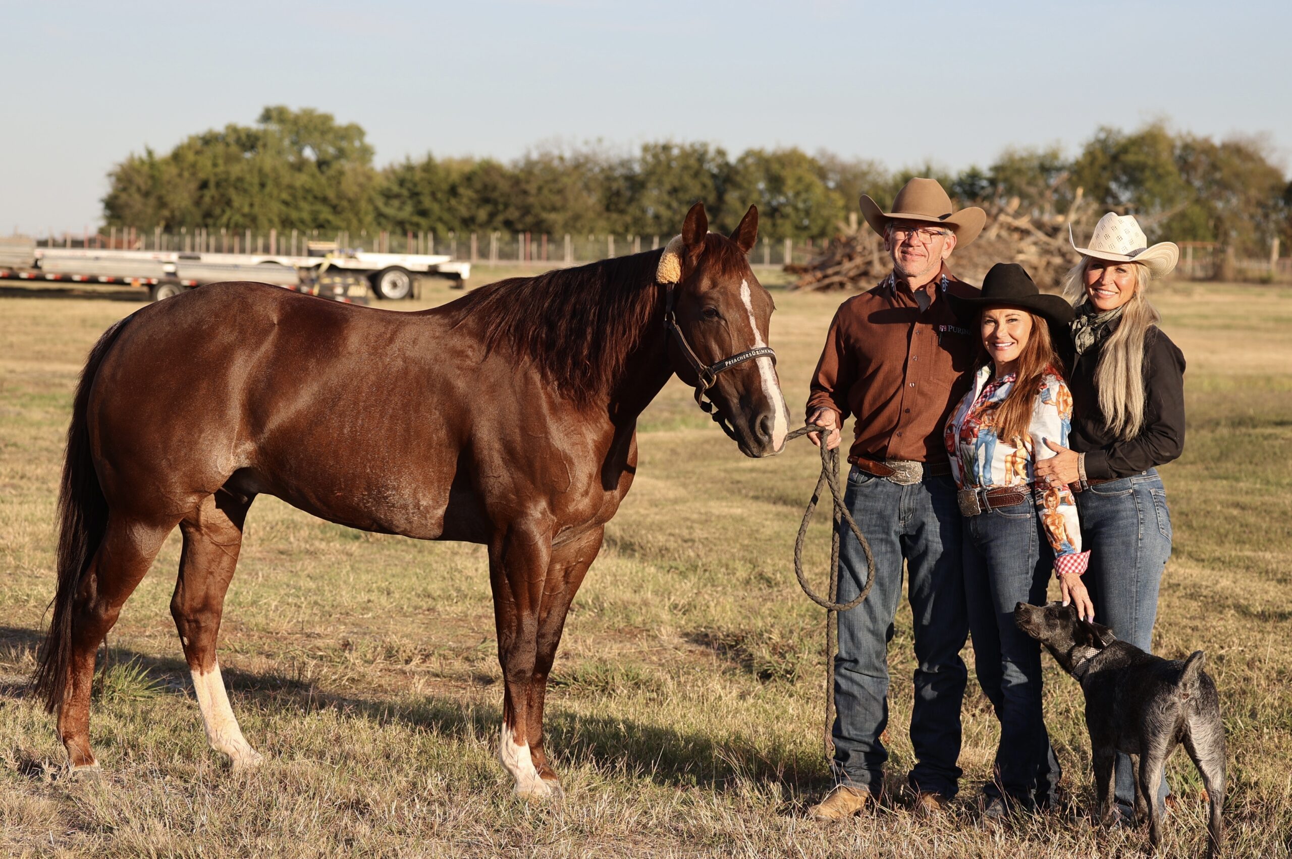 Three people in cowboy hats stand with a sorrel horse in a halter and two blue heeler dogs in a sunlit pasture