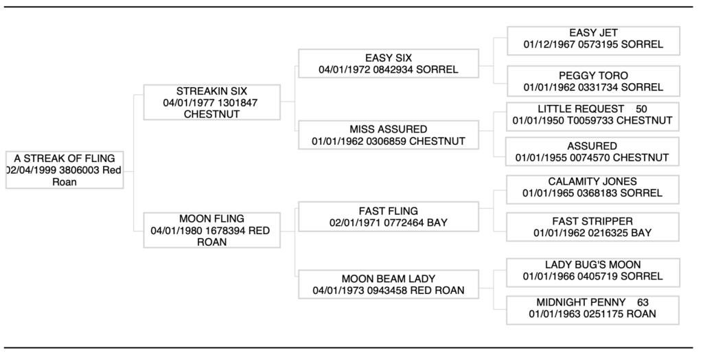 a streak of fling pedigree