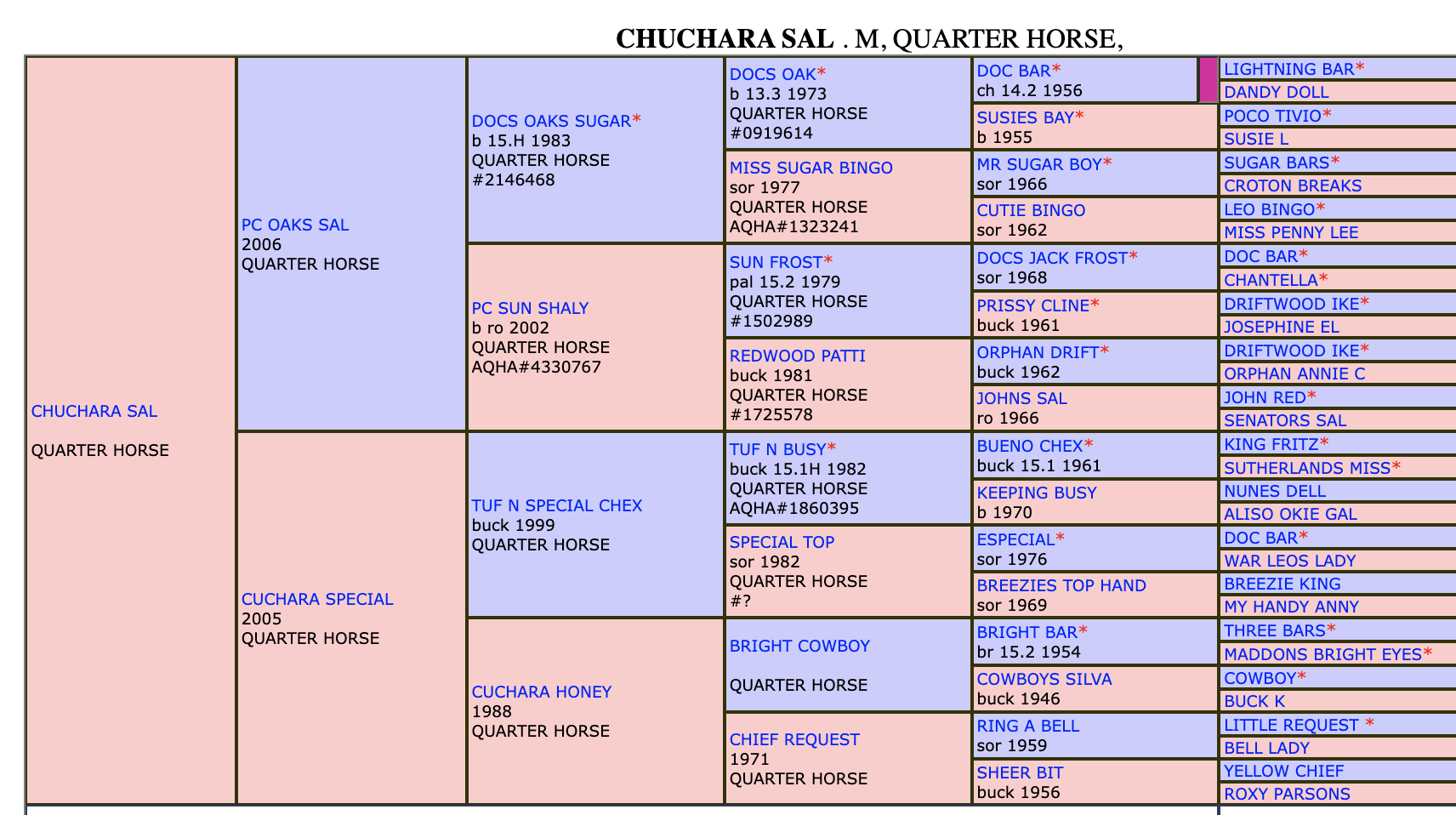 Five-generation pedigree chart for Quarter Horse mare Chuchara Sal, with color-coded boxes listing sires and dams