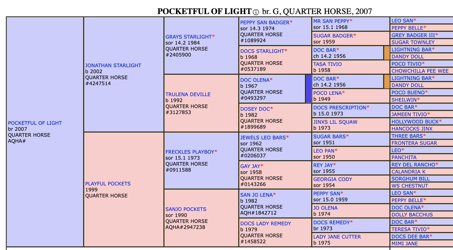 Five-generation pedigree chart for Pocketful of Light, a 2007 brown Quarter Horse gelding, tracing Grays Starlight and Freckles Playboy lines
