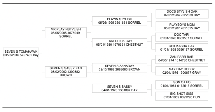 Seven S Tomahawk, aka "Smoke" owned by Haven Meged