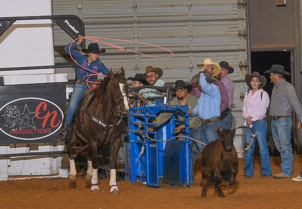 Breakaway roper swings her loop aboard a sorrel horse as a calf breaks from the chute with spectators watching behind the gate