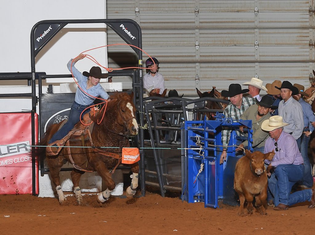 Breakaway roper in a black cowboy hat swings her loop aboard a sorrel horse bursting from the box after a calf as cowboys watch from the chutes