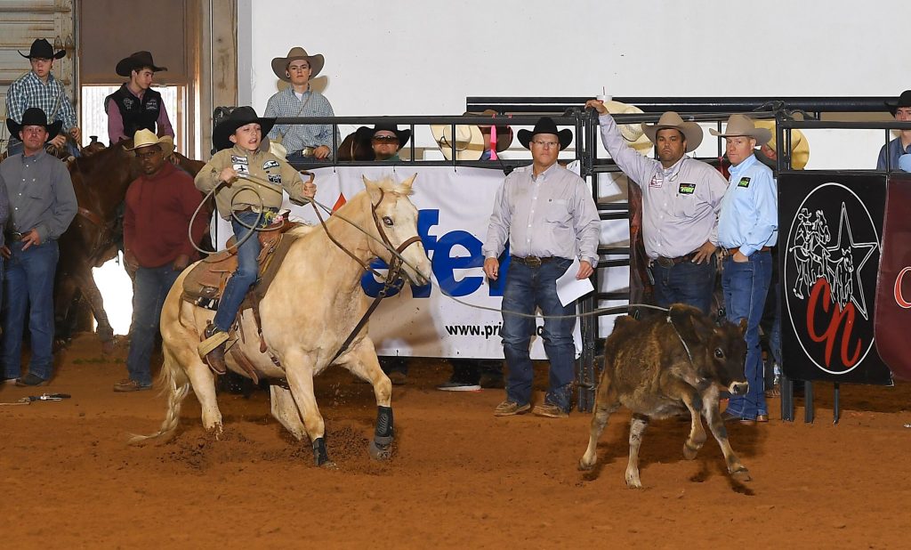 Young roper on a palomino horse chases a calf down the arena as officials and spectators watch from the chutes