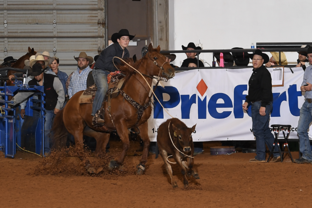 Young roper on a sorrel horse swings his loop at a running calf in the arena as spectators watch from behind a Priefert banner