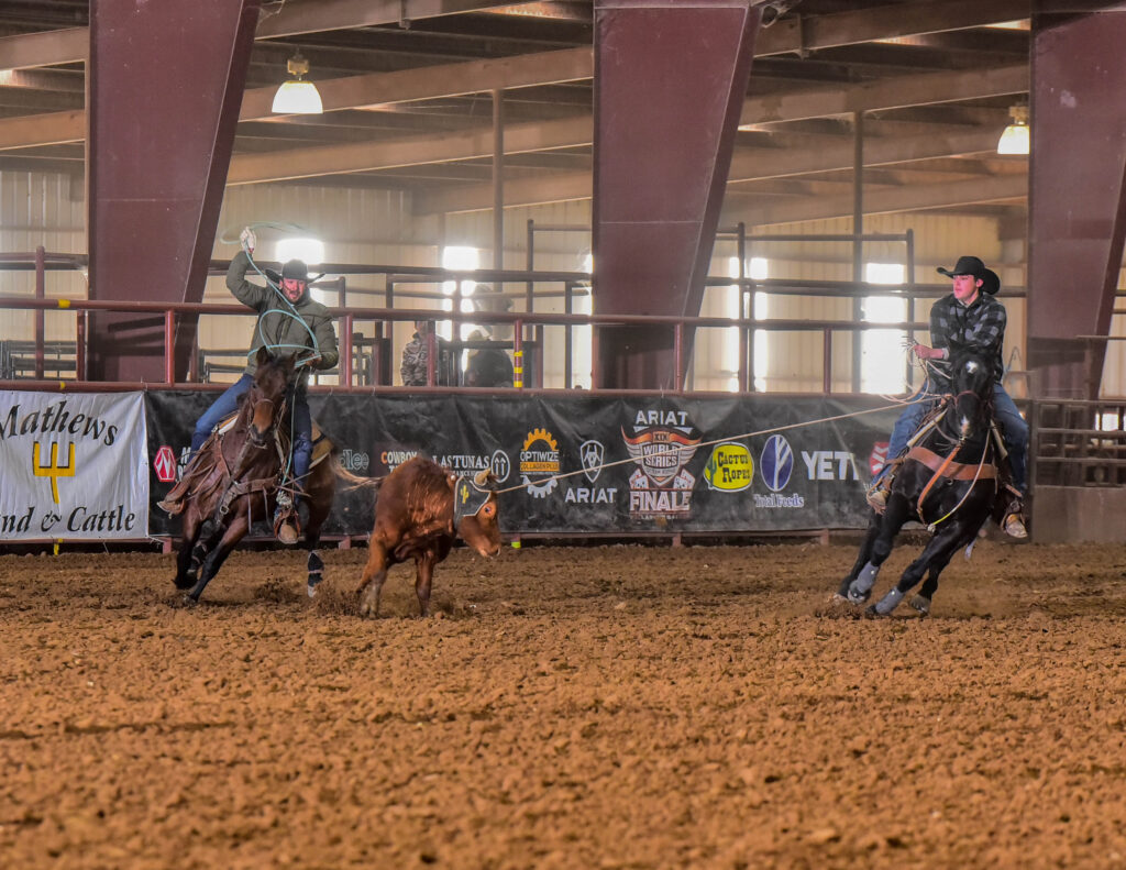 Team roping header swinging his loop on a bay horse while the heeler follows on a dark horse in an indoor arena