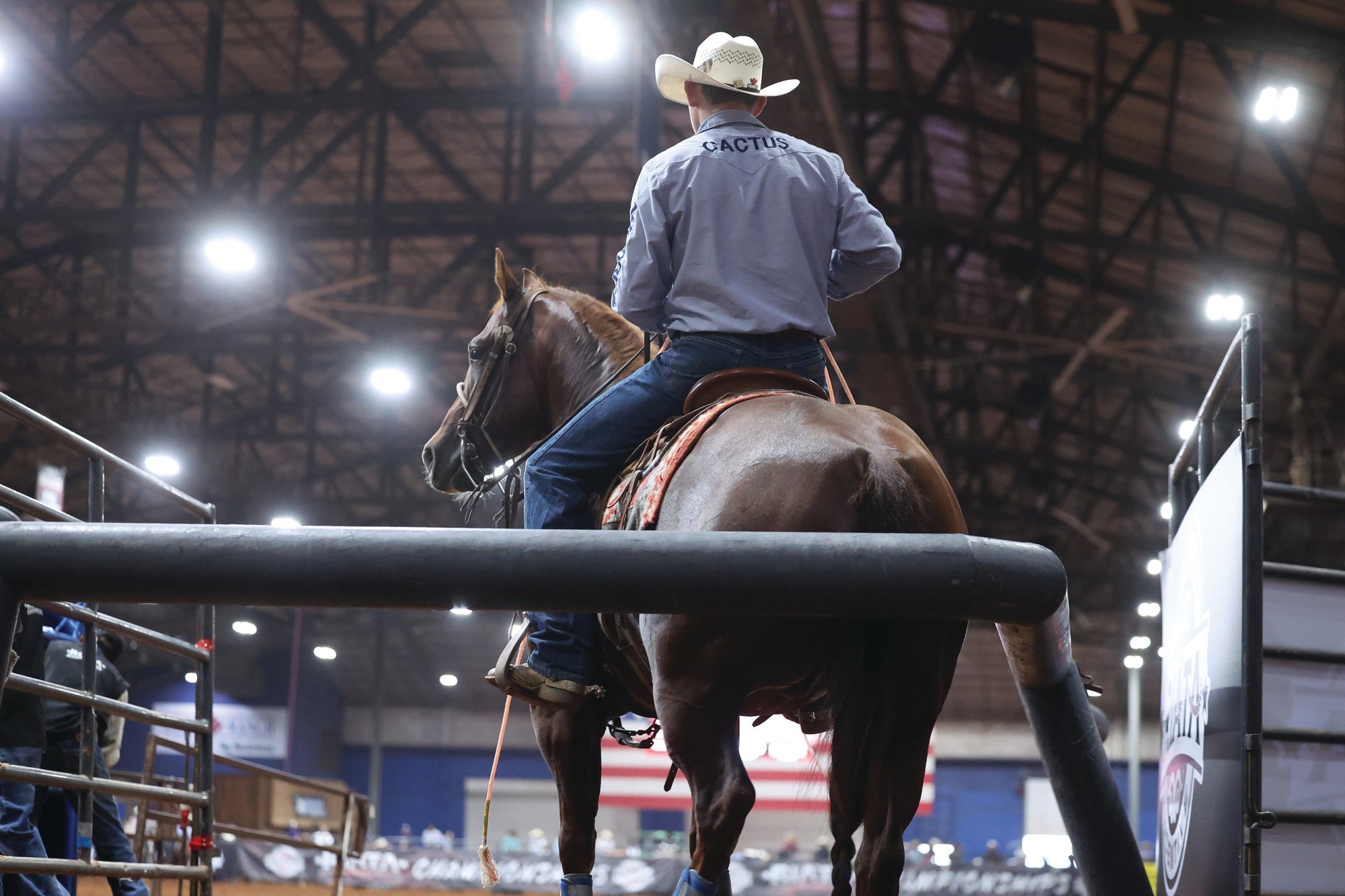 A header backed into the box on a bay horse at the Riata Championships