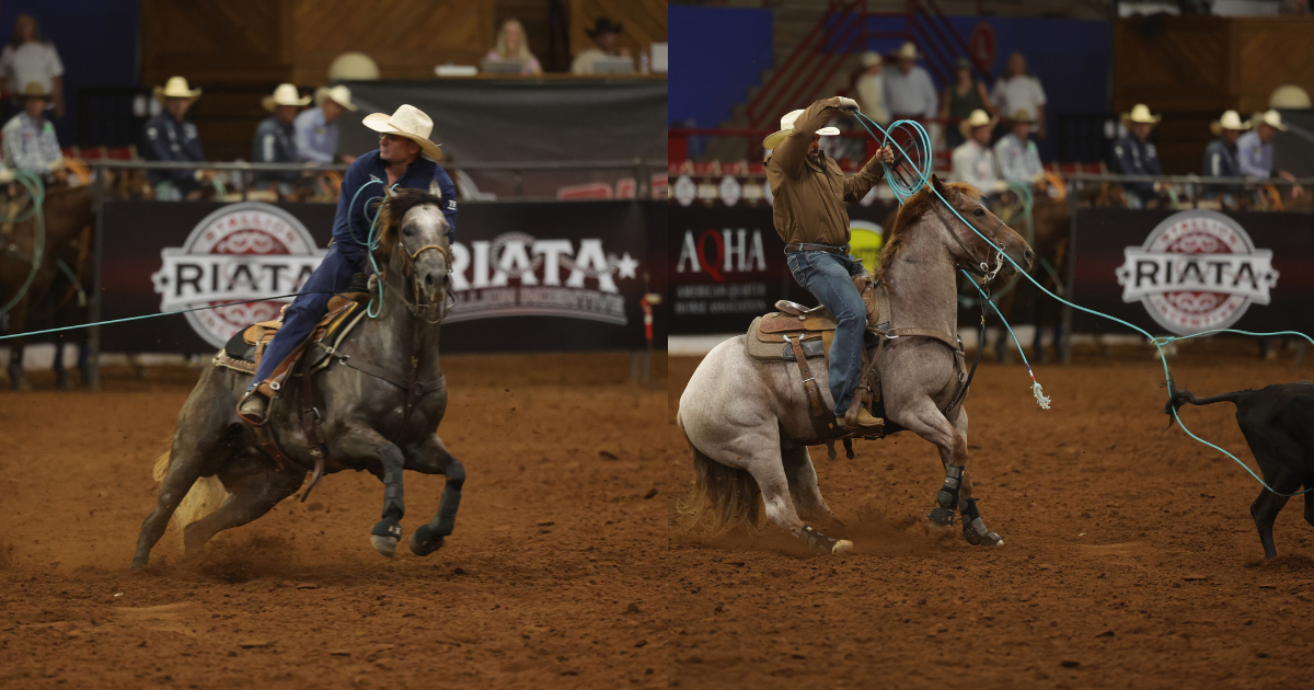 Two cowboys compete in roping events at a RIATA rodeo, one on a dark horse at left and one on a gray horse at right, both swinging lassos in the dirt arena