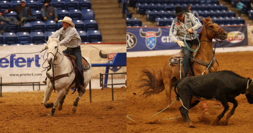 Two cowboys rope cattle at a professional rodeo arena during what appears to be a team roping event
