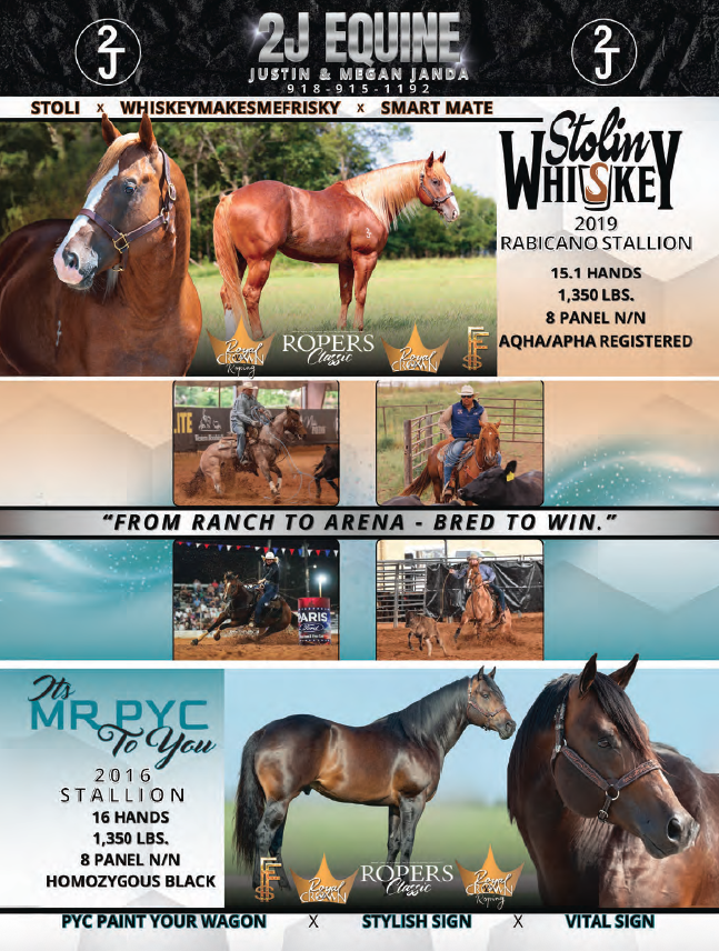 2J Equine stallion advertisement featuring Stolin Whiskey, a 2019 Rabicano stallion, and Mr DYC To You, a 2016 black stallion, with performance photos and pedigree information