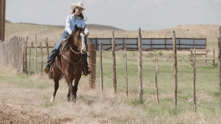 3 Barrel Racing Drills Carley Cervi Swears By