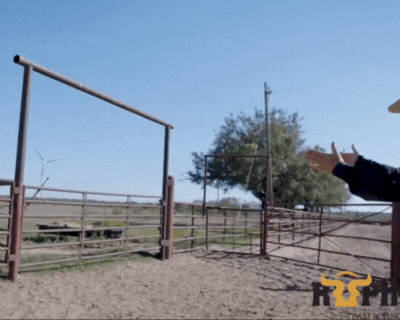 3 Must-Have Roping Arena Design Components with Lari Dee Guy