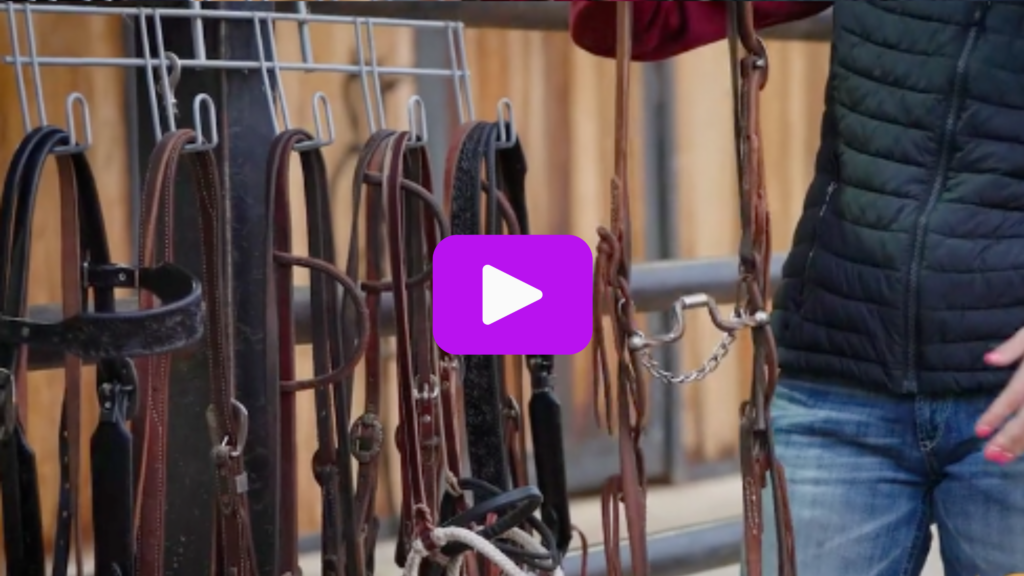 Sarah Angelone holding her favorite breakaway bit: a Kerry Kelley short shank slow twist hinge port
