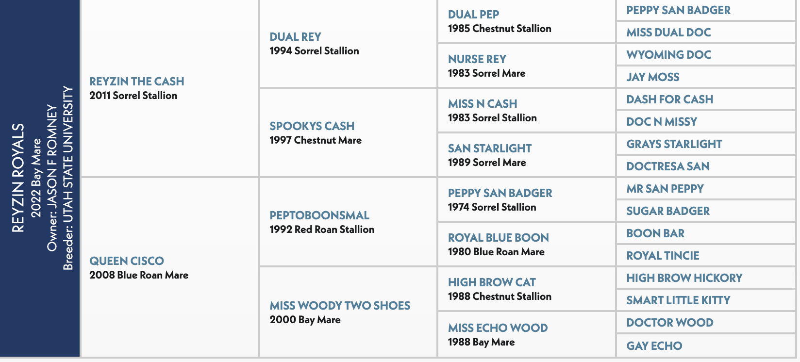 Four-generation pedigree chart for Reyzin Royals, a 2022 bay mare by Reyzin The Cash out of Queen Cisco