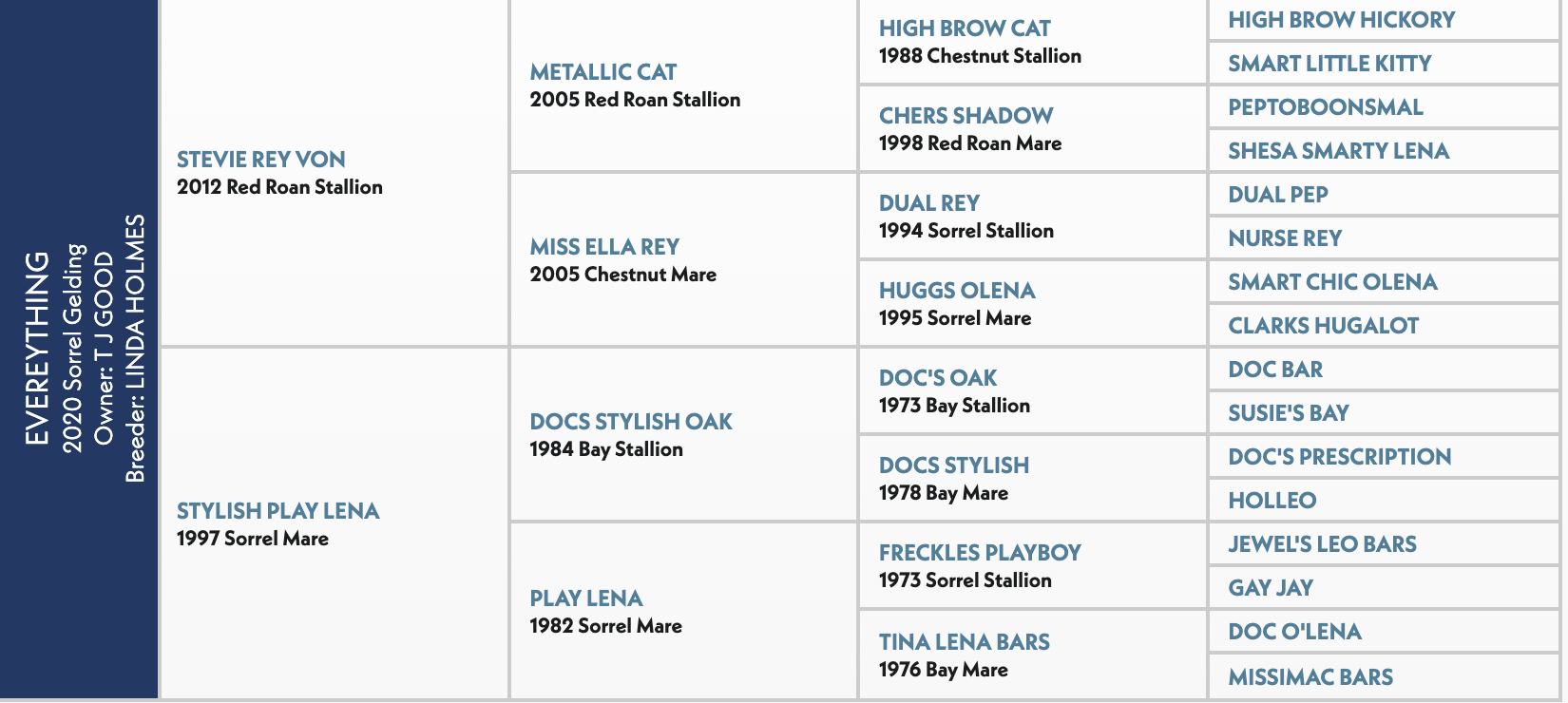 Four-generation pedigree chart for Everything, a 2020 sorrel gelding by Stevie Rey Von out of Stylish Play Lena