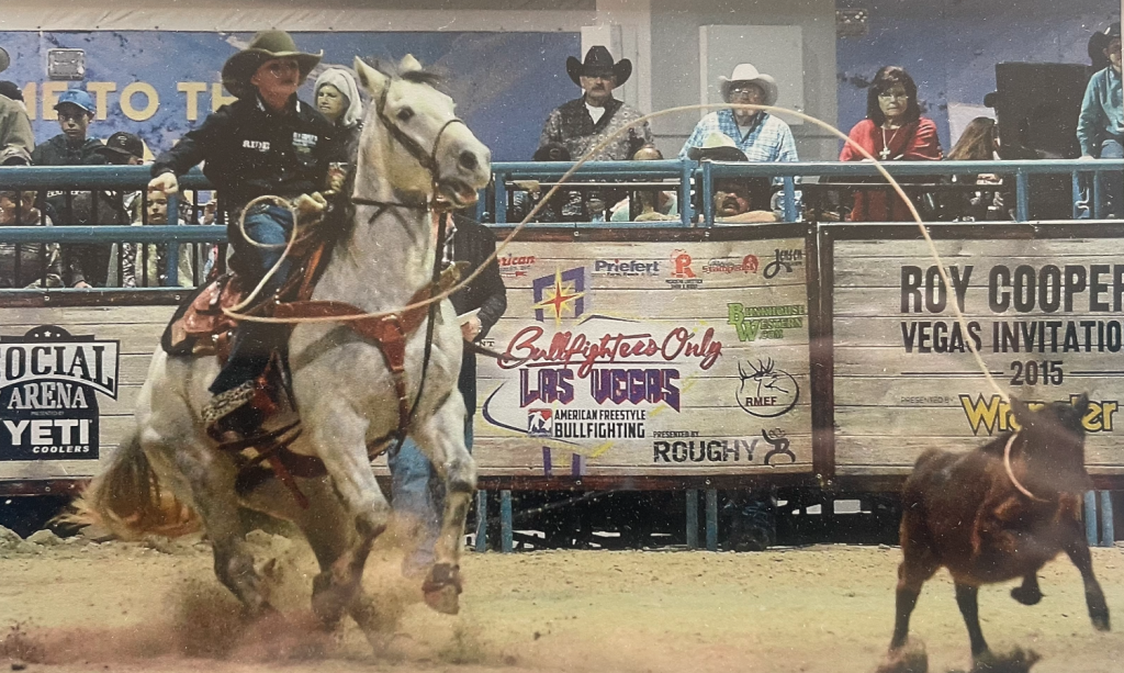 Roper on a gray horse swings his loop toward a running calf during a rodeo with spectators watching behind the fence