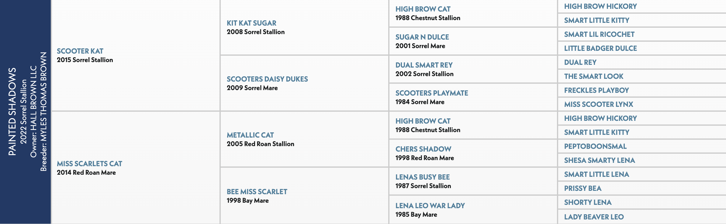 Five-generation pedigree chart for Painted Shadows, a 2022 sorrel stallion sired by Scooter Kat out of Miss Scarlets Cat