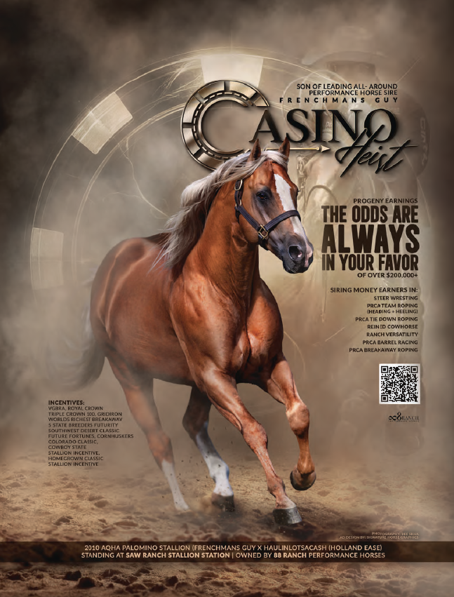 Bay stallion Casino Jack gallops through dust with text describing his pedigree and earnings potential for breeding and rodeo competitions
