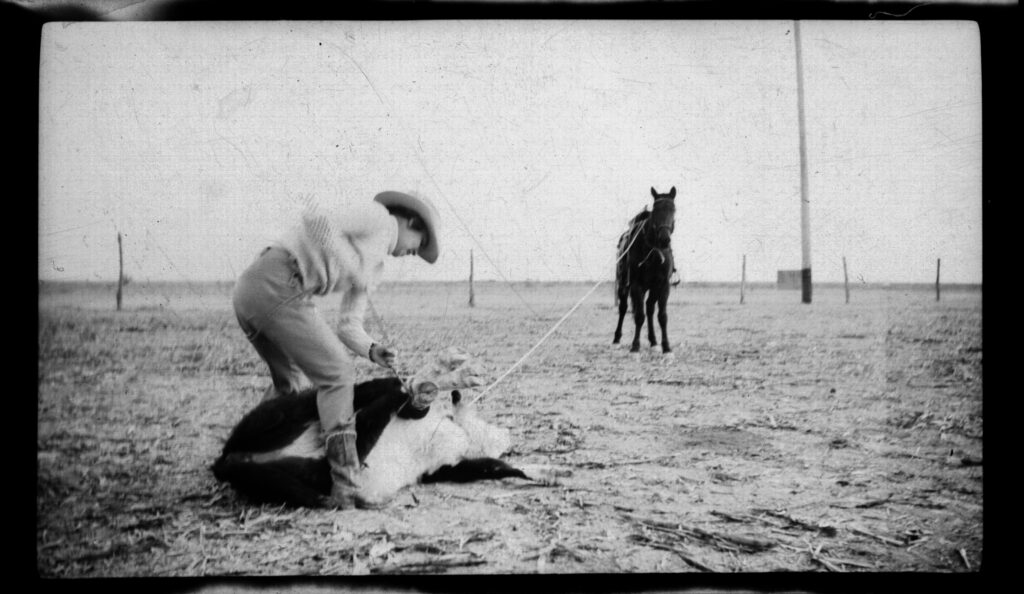 Vintage black-and-white photo of a cowboy in a wide-brimmed hat tying down a roped calf while his horse holds the rope taut