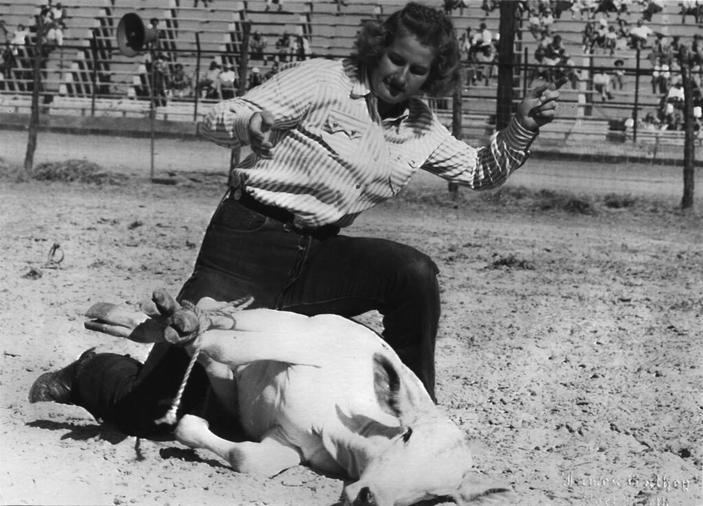 Cowgirl in a striped shirt throws her hands up after tying a calf's legs in the arena dirt as crowds watch from the stands