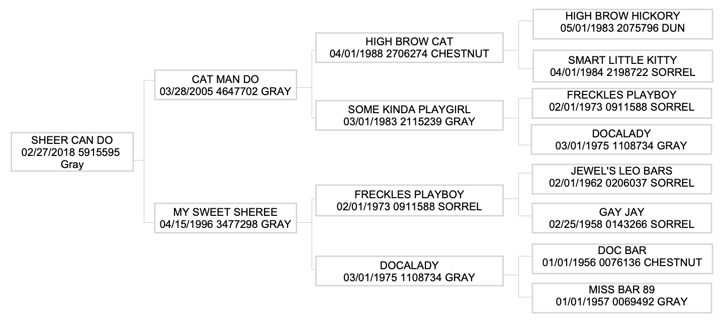 Three-generation pedigree chart for gray mare Sheer Can Do, tracing back to High Brow Cat, Freckles Playboy and Doc Bar