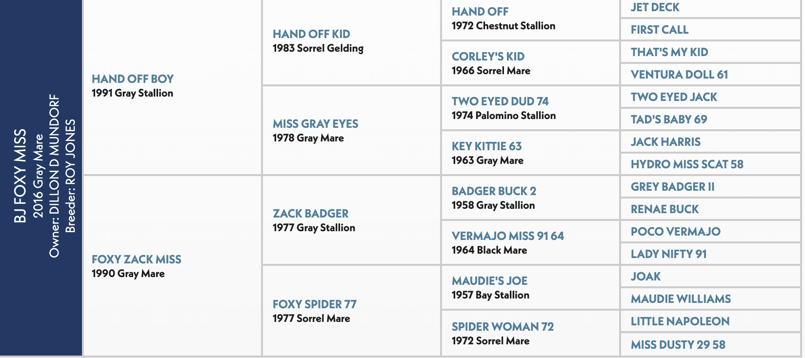 Five-generation pedigree chart for BJ Foxy Miss, a 2016 gray mare, listing sire Hand Off Boy and dam Foxy Zack Miss