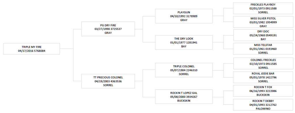Pedigree chart for Triple My Fire, a horse with registration details and bloodline ancestry spanning multiple generations