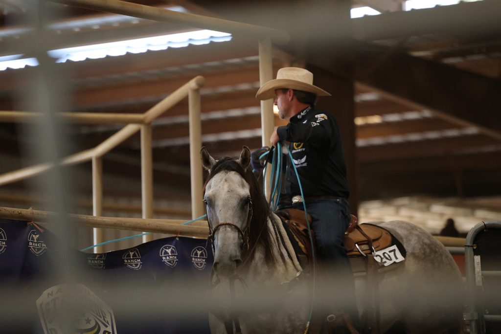 Cowboy in a straw hat holds a coiled rope aboard a gray horse wearing back number 297 inside an indoor arena