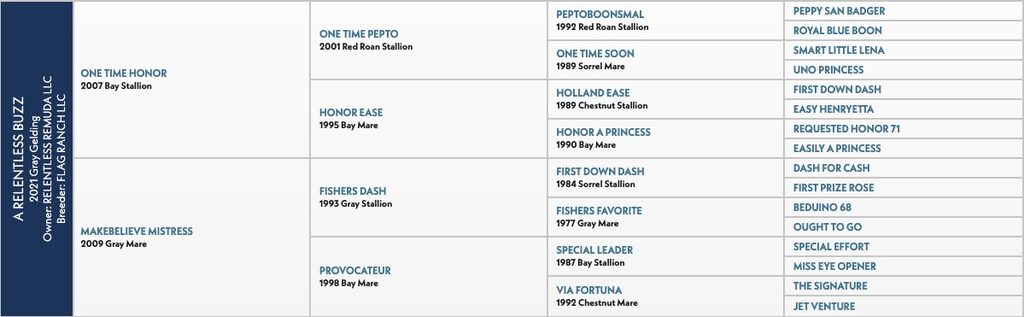 Five-generation pedigree chart for A Relentless Buzz, a 2021 gray gelding, tracing sires and dams back to Peppy San Badger and Dash For Cash