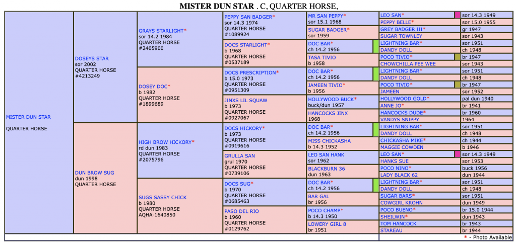 Five-generation pedigree chart for the Quarter Horse Mister Dun Star, listing sires and dams with colors, years and registration numbers