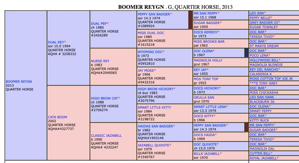 Five-generation pedigree chart for Boomer Reygn, a 2013 Quarter Horse gelding, tracing Dual Rey and High Brow Cat bloodlines