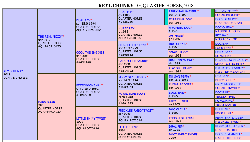 Five-generation pedigree chart for Reyl Chunky, a 2018 Quarter Horse gelding, listing sires and dams with registration numbers