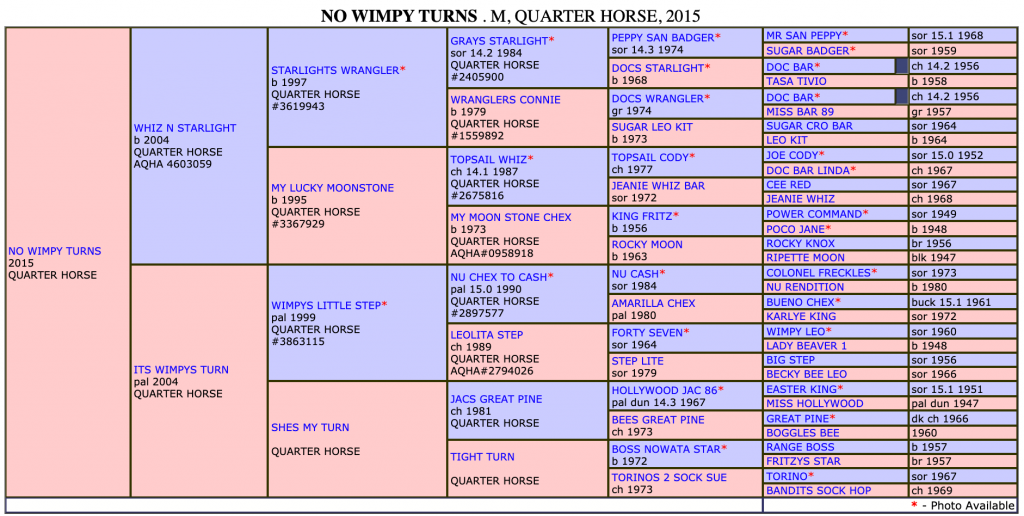 The Definitive List Of Horses Headed To The National Finals Of Breakaway Roping