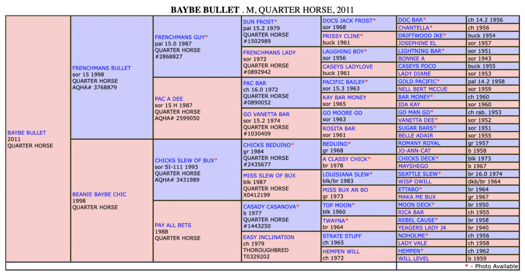 The Definitive List Of Horses Headed To The National Finals Of Breakaway Roping