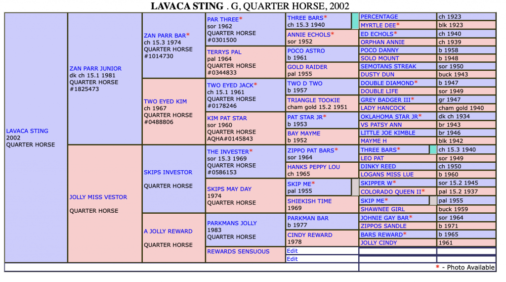 The Definitive List Of Horses Headed To The National Finals Of Breakaway Roping