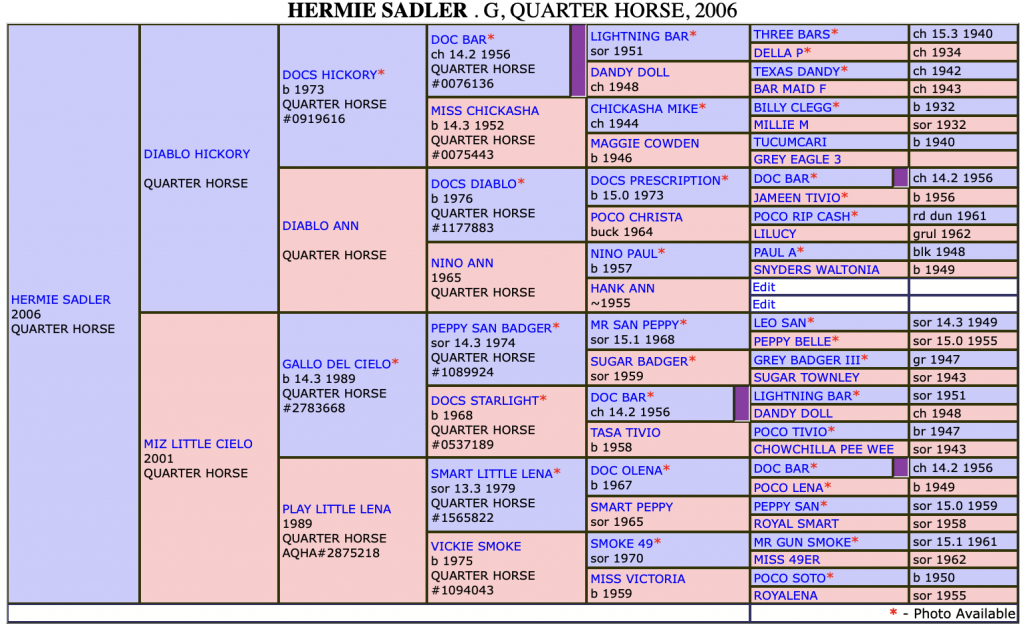 The Definitive List Of Horses Headed To The National Finals Of Breakaway Roping