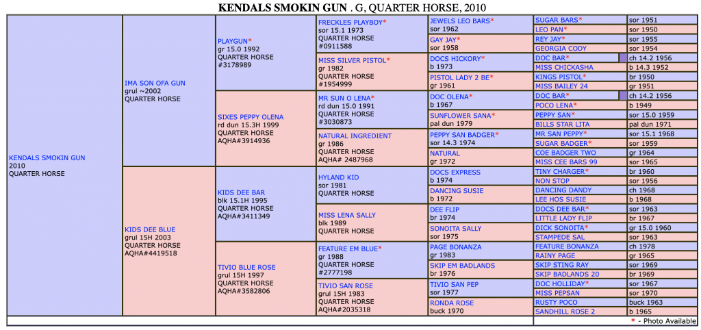 Five-generation pedigree chart for Kendals Smokin Gun, a 2010 Quarter Horse gelding, tracing sires and dams back to Sugar Bars and Doc Bar